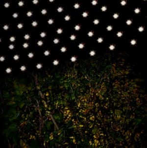 Wedding festoon lighting rental