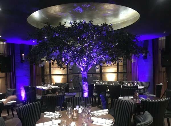 Sound and lighting hire 42 Uplighting